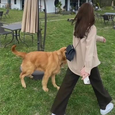 坏蛋奖门人3